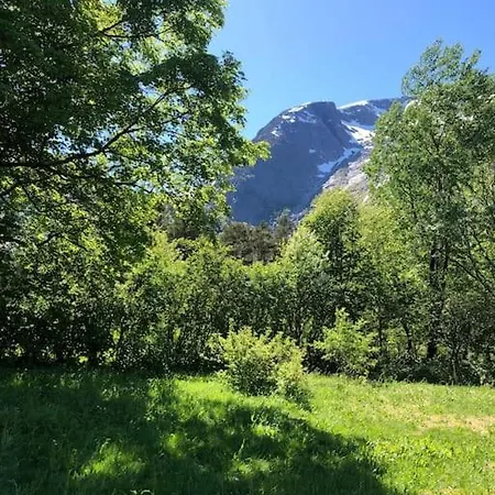Gammelt Hus Pa Landet *